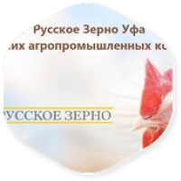 Крупнейшая птицеводческая компания Башкирии – ГК «Русское зерно» продана на торгах