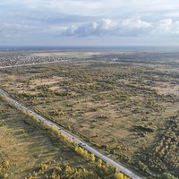 Объявлена новая дата торгов по продаже 258 га под индустриальный парк на юге Петербурга. Цена снижена!