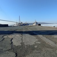 Определился инвестор для строительства  специализированного портового комплекса по перевалке рыбной продукции и грузов «северного завоза» у Русского моста во Владивостоке