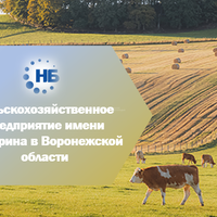 На торги выставлено действующее сельхоз предприятие им. Мичурина в Воронежской области