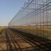 На аукцион выставлен действующий сельскохозяйственный бизнес в Краснодарском крае