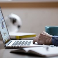 ГИС «Торги» по продаже земельных участков и аренде: как пользоваться