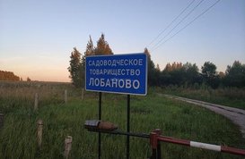 Не указан